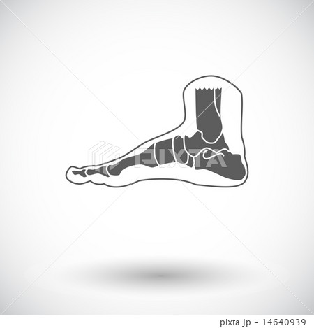 Foot anatomy icon. 14640939