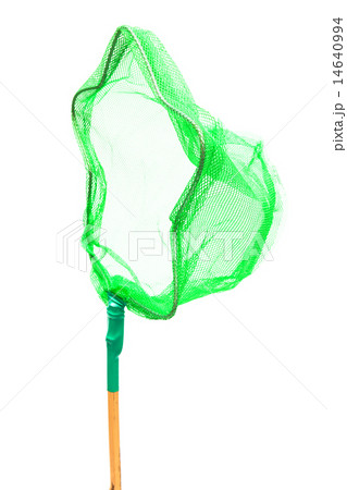 beautiful green butterfly net 14640994