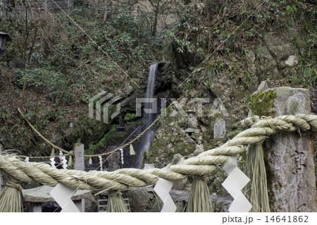 高尾山・びわ滝 高尾山・びわ滝 14641862