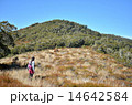 山登り 14642584