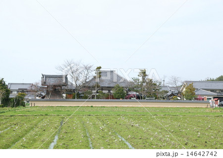 飛鳥寺 14642742