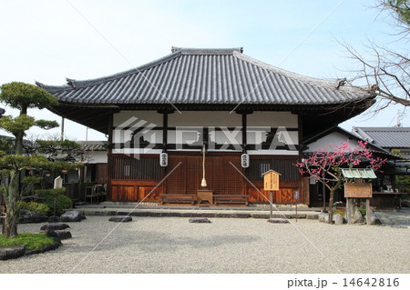 飛鳥寺 14642816