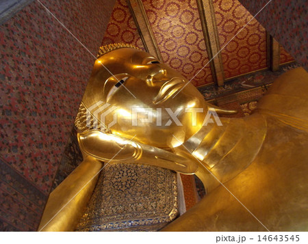 ワットポー　タイ　バンコク　観光地 14643545