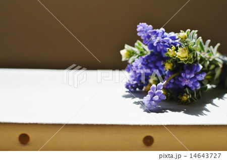 ムスカリの花束とキャンバス　 14643727