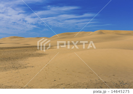 Maspalomas Duna - Desert in Canary island Gran Canaria 14645275