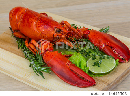 Red boiled lobster 14645508