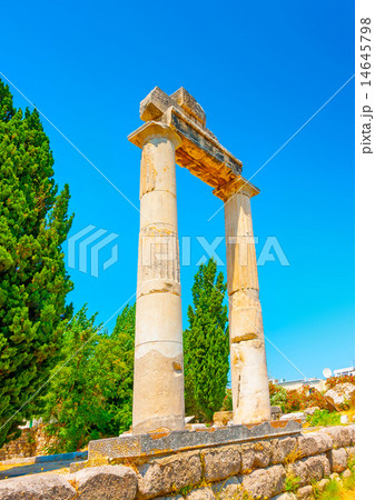 in ancient Agora of Kos island in Greece in ancient Agora of Kos island in Greece 14645798