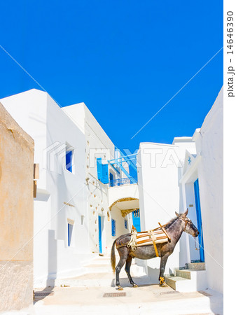 in Amorgos island in Greece 14646390