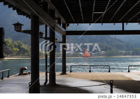 宮島桟橋から臨む厳島神社の大鳥居 14647353