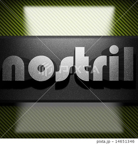 nostril word of iron on carbon 14651346