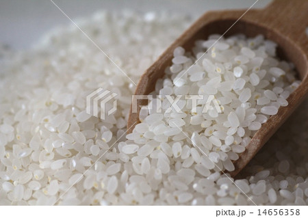 精米した日本のお米　栄養たっぷり金芽米 14656358