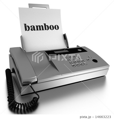 bamboo word printed on fax 14663223