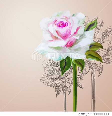 Decorative floral background 14666113