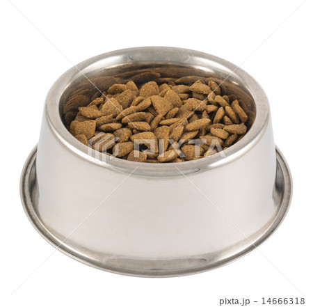 Pet's dog metal bowl isolated 14666318