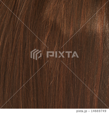 Hair fragment as a background composition Hair fragment as a background composition 14669749