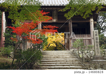 11月秋 紅葉の書写山圓教寺の写真素材