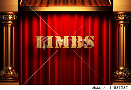 limbs golden word on red curtain 14681587