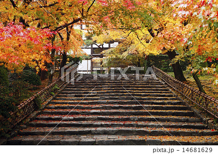 11月秋 龍安寺石庭に通じる石段 京都の紅葉の写真素材