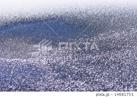 フロストフラワー 雪花 フロストフラワー 雪花 14681753
