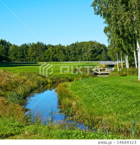 Field Estonian landscape composition 14684323