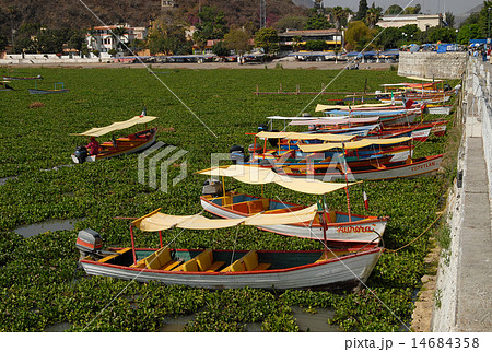 メキシコ　チャパラ湖　船着き場 14684358