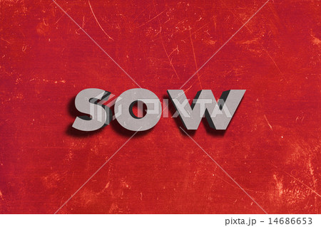 sow word on red wall 14686653