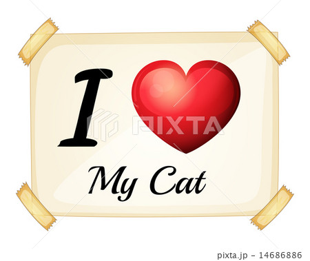 I love my cat. 14686886