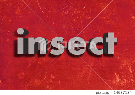 insect word on red wall 14687184