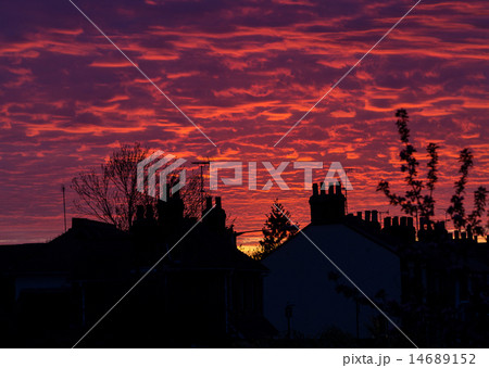 Sunset in the city Sunset in the city 14689152