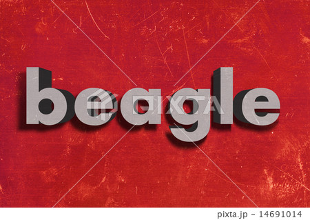 beagle word on red wallのイラスト素材 [14691014] - PIXTA