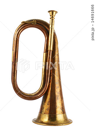 Trumpet musical instrument isolated Trumpet musical instrument isolated 14691666