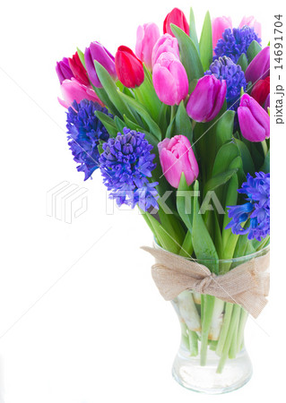 bouquet of blue hyacinth and tulips bouquet of blue hyacinth and tulips 14691704