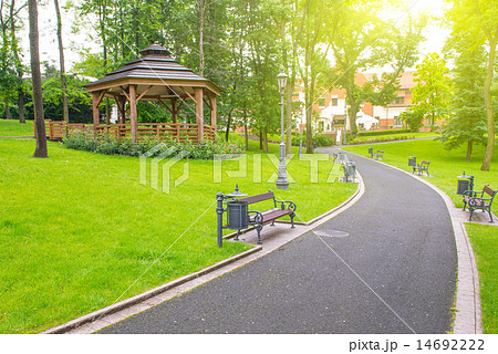 Road in the park Road in the park 14692222