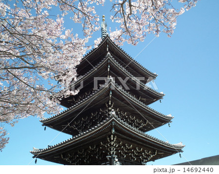 香林寺　五重塔 14692440