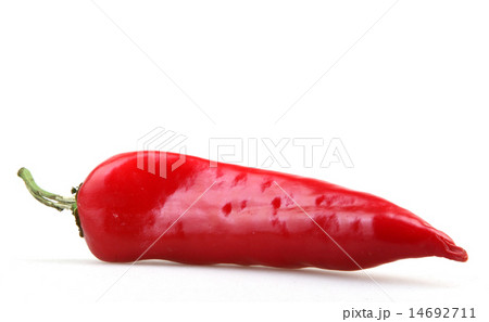 Red pepper on white background Red pepper on white background 14692711