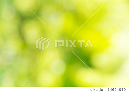Green background 14694050