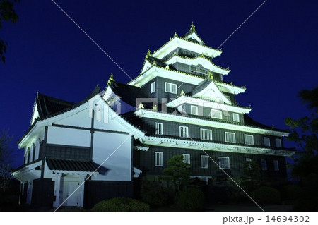 夜の岡山城 14694302