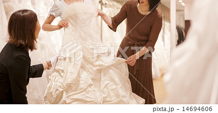 ウェディングドレス選び ウェディングドレス選び 14694606