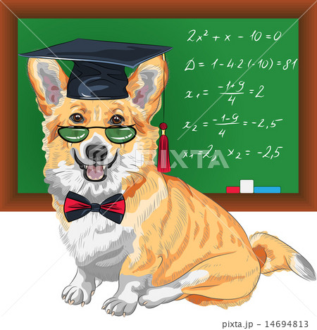 vector graduated dog Pembroke Welsh corgi 14694813