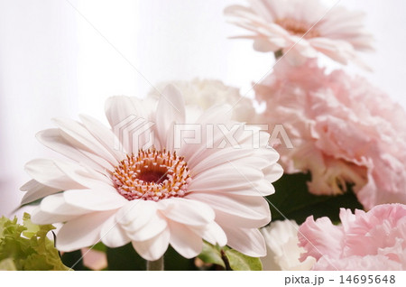 フラワーアレンジメント 14695648