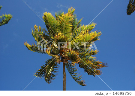 British Virgin Islands 14698750