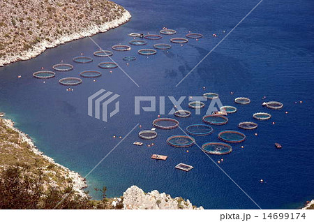 fish farm in greece fish farm in greece 14699174