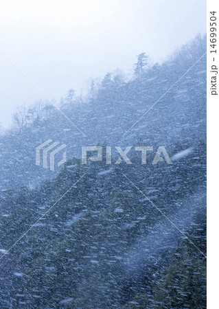 吹雪の山 14699504