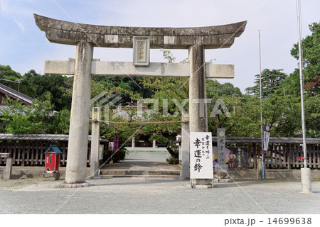 福岡市西公園光雲神社 福岡市西公園光雲神社 14699638