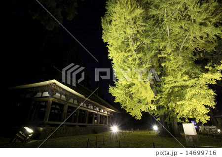 長床　新宮熊野神社 14699716