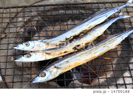 秋刀魚の丸干し七厘焼き 秋刀魚の丸干し七厘焼き 14700188