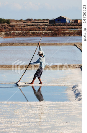 Harvesting salt in salt fields in Vietnam Harvesting salt in salt fields in Vietnam 14700223