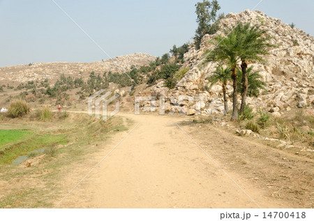 インド　ブッダガヤ　スジャータ　前正覚山への道 14700418