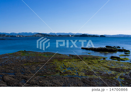 田辺湾 14700866