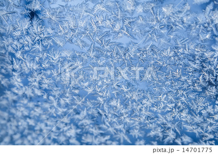 Shiny winter window ice decoration Shiny winter window ice decoration 14701775